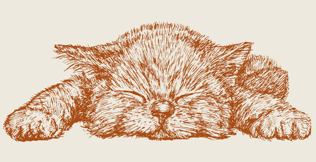 The vector drawing of a sleeping kitten in style of a sketch.のイラスト素材