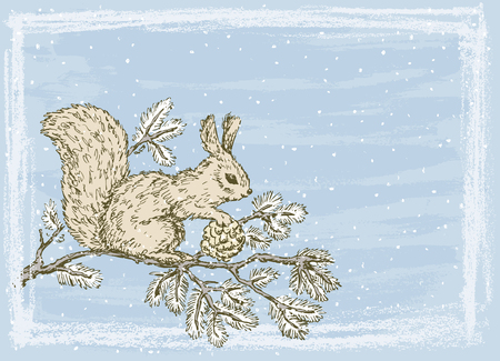 Vector drawing squirrels on a branch of fir.のイラスト素材