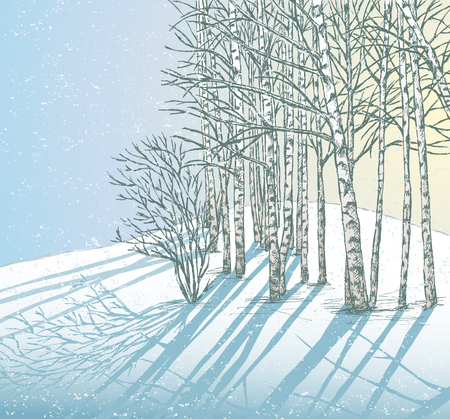 The vector drawing of a winter landscape.のイラスト素材