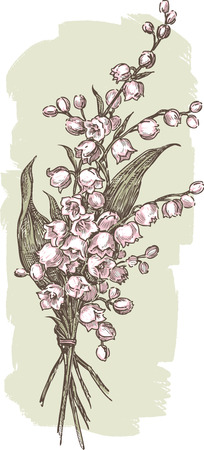 Vector drawing of a bouquet of the forest liliesのイラスト素材
