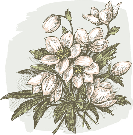 A spring bouquet of the snowdrops flowersのイラスト素材