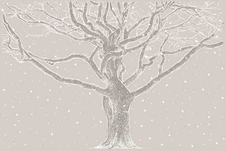 An old oak in the winter timeのイラスト素材