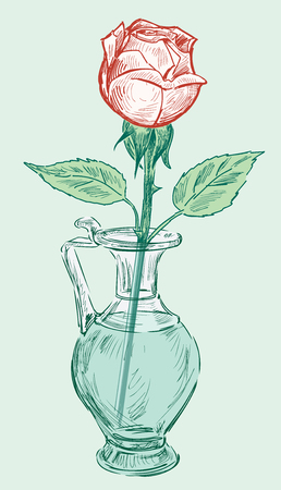 Hand drawing of a rose in a vaseのイラスト素材