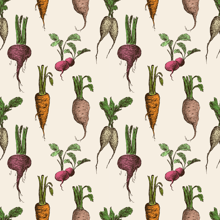 Pattern of the ripe rootsのイラスト素材