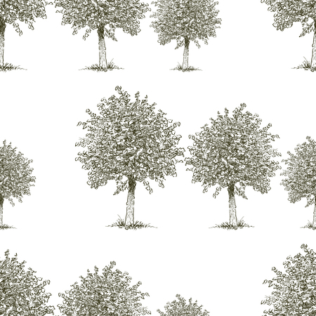 A pattern of the deciduous trees.のイラスト素材