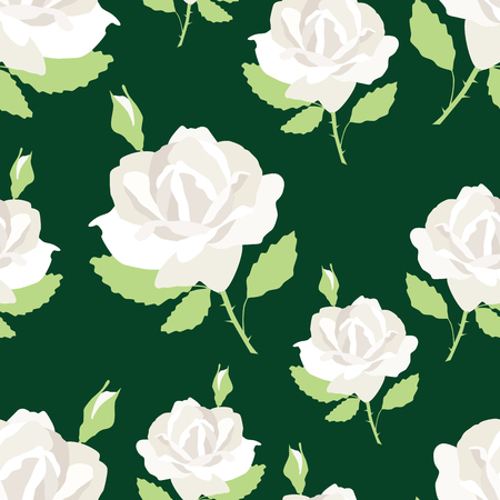 Pattern of white rosesのイラスト素材