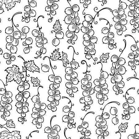 Pattern of the currant berriesのイラスト素材