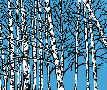 Vector image of a birch grove in the cold seasonのイラスト素材