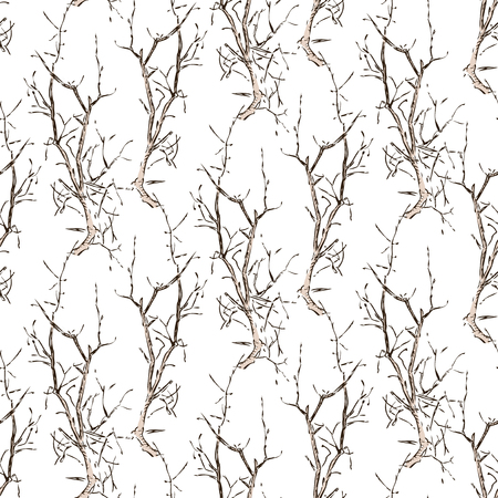 Vector background of sketches of trees branchesのイラスト素材