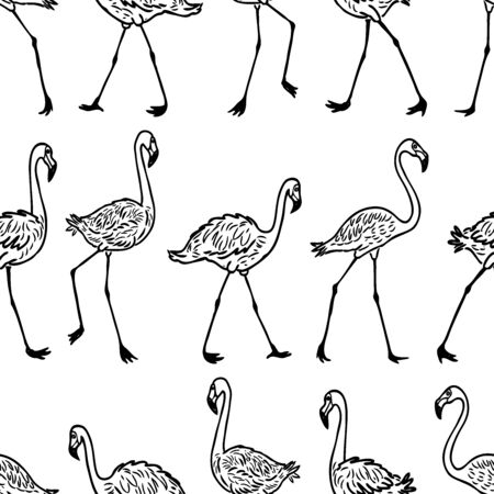 Seamless pattern of outlines of walking flamingosのイラスト素材