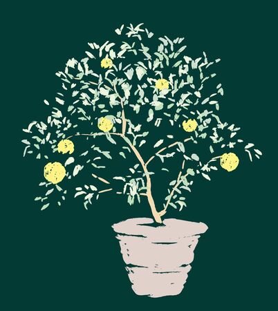 Vector drawing of lemon tree in flower potのイラスト素材