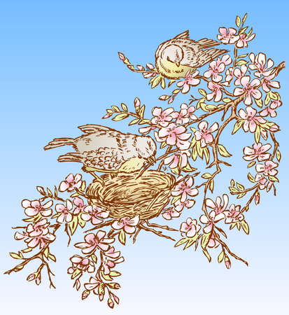 illustration of two birds nesting on  blossoming cherry tree on spring dayのイラスト素材