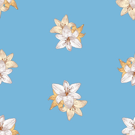 Seamless pattern of sketches delicate garden liliesのイラスト素材