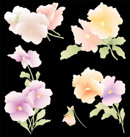 Vector image of bunches delicate garden pansiesのイラスト素材
