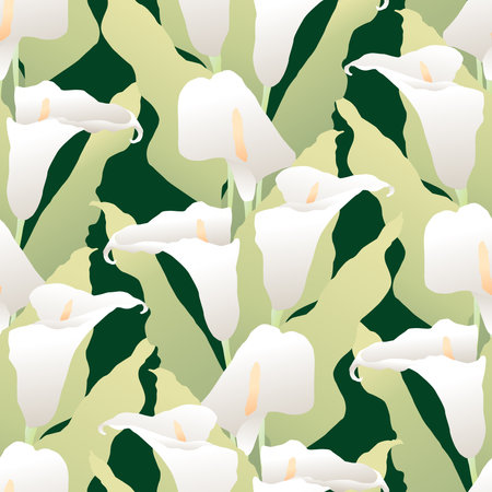 Seamless pattern of bouquets delicate white calla liliesのイラスト素材