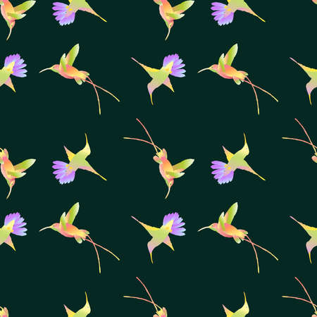 Seamless pattern of colorful flying hummingbirdsのイラスト素材