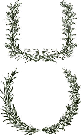 Freehand drawings of triumphal laurel and oak branches with ribbonのイラスト素材