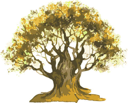Vector watercolor drawing of old oak tree in autumnのイラスト素材