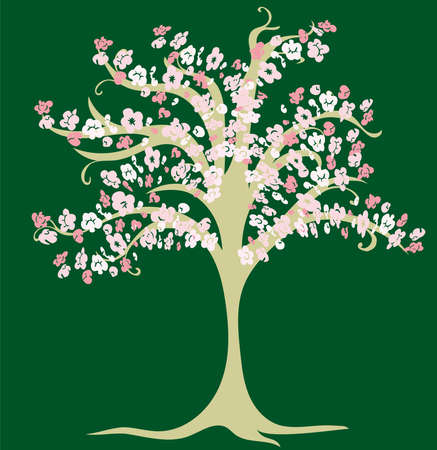 Vector drawing of decorative blossoming cherry treeのイラスト素材
