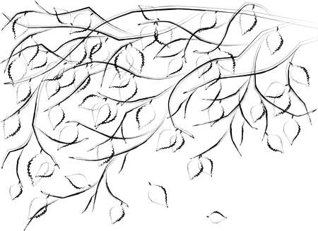 Contour vector drawing of branches deciduous tree with leavesのイラスト素材