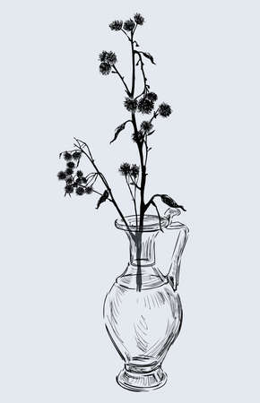 Vector drawing of dry wildflower in vintage glass vaseのイラスト素材
