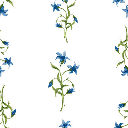 Seamless background from watercolor drawings of bunches delicate wild blue bellflowersのイラスト素材