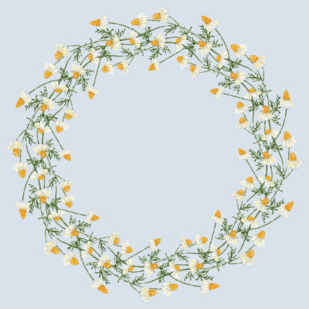 Decorative floral wreath from drawn chamomile wildflowersのイラスト素材