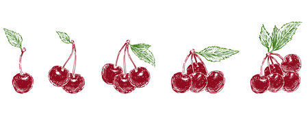 Hand drawings of ripe red cherry berries bunches with green leaves, vector illustration isolated on whiteのイラスト素材
