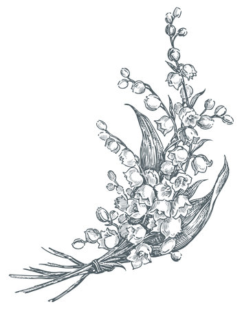 Lilies of the valley spring flowers delicate realistic bouquet sketch hand drawn vector illustration isolated on whiteのイラスト素材