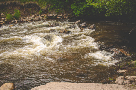 Mountain river with rapids and rapids on the rocks.