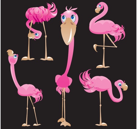 Flamingos cartoonsのイラスト素材