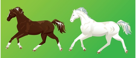 2 horses on green backgroundのイラスト素材