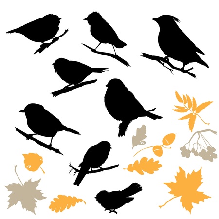 Birds and Plants Silhouettes isolated on white backgroundのイラスト素材