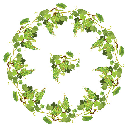 Round Grapes frame and repeated element for wine labels or menu design. Isolated on white backgroundのイラスト素材