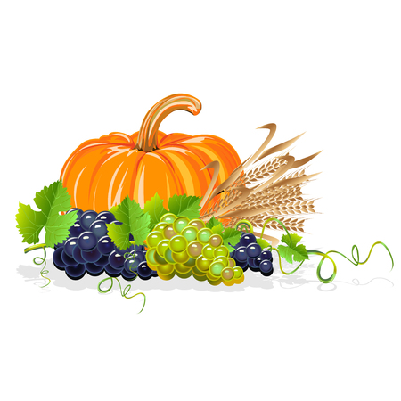 Harvesting realistic still lifeのイラスト素材