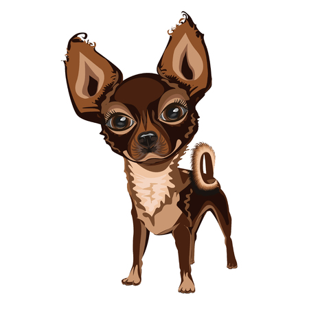 Little dog with a nice faceのイラスト素材