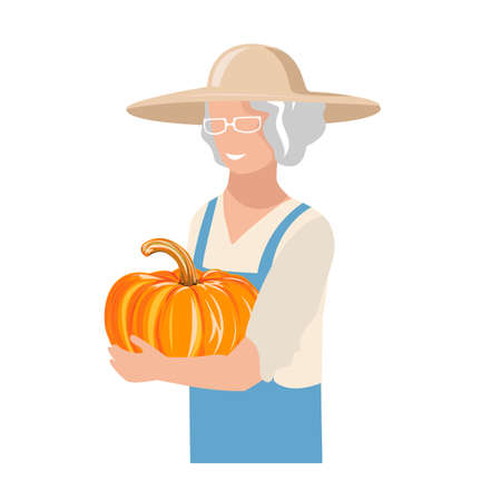 An elderly woman in work clothes and a sun hat harvests a pumpkin. Autumn harvest vector illustration on white backgroundのイラスト素材