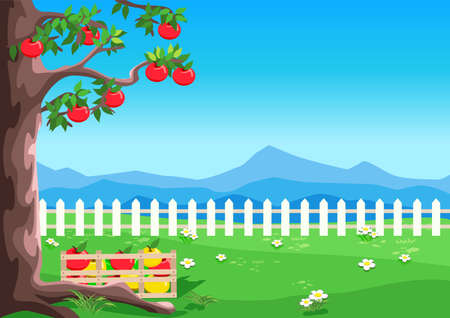 Apple tree with ripe apples in the garden against the blue sky. Harvesting apples. Harvest celebration. Thanksgiving Day. Vector illustration.のイラスト素材