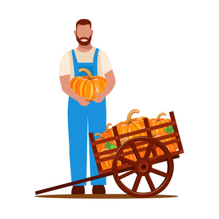 A man harvests pumpkins in an old wooden wheelbarrow. Vector illustration isolated on white background in a flat style.のイラスト素材