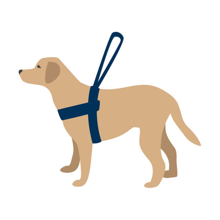 Guide dog with a special leash. Rehabilitation and adaptation of people after vision loss. Training dogs to help blind people. vector illustrations on a white background.のイラスト素材