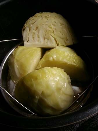 Steaming hot fresh cabbageの素材