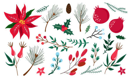 Set of winter plants - Holly, Poinsettia, Pine, Garnet, Rosehip. Traditional Christmas decoration. Leaves, berries, conifer, cone. Vector illustration isolated on white background. Flat cartoon designのイラスト素材