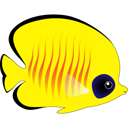 Cute Yellow Butterfly Fish Isolated on Whiteのイラスト素材