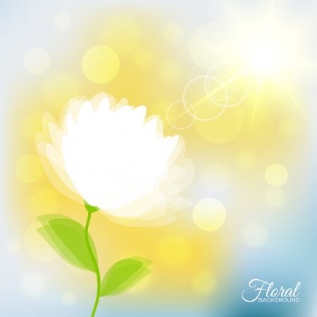 Transparent delicate flower and shining sun. Vector backgroundのイラスト素材