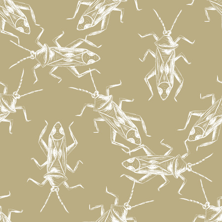 Hand drawn Sketch Beetles Seamless Pattern. Art wallpaper with insects for prints or other creative design. Vintage style backgroundのイラスト素材