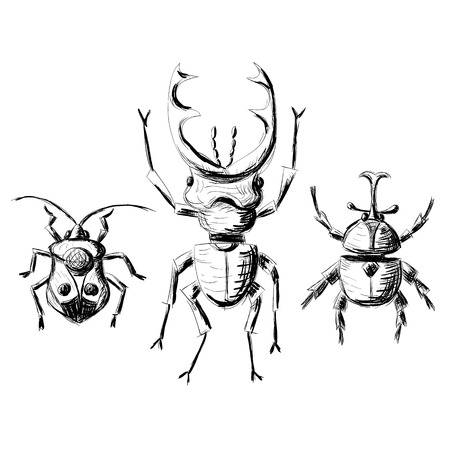 Hand drawn sketch beetles set (1 of 4). Art collection insects for prints or design. Isolated on whiteのイラスト素材