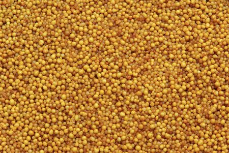 mineral fertilizer の写真素材