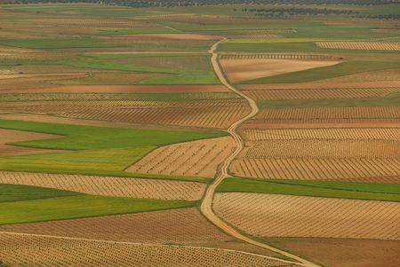 Spain field 06の写真素材