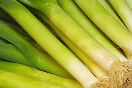 leek 02