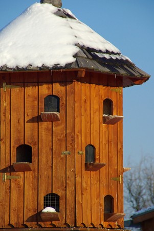  pigeonry 02の写真素材